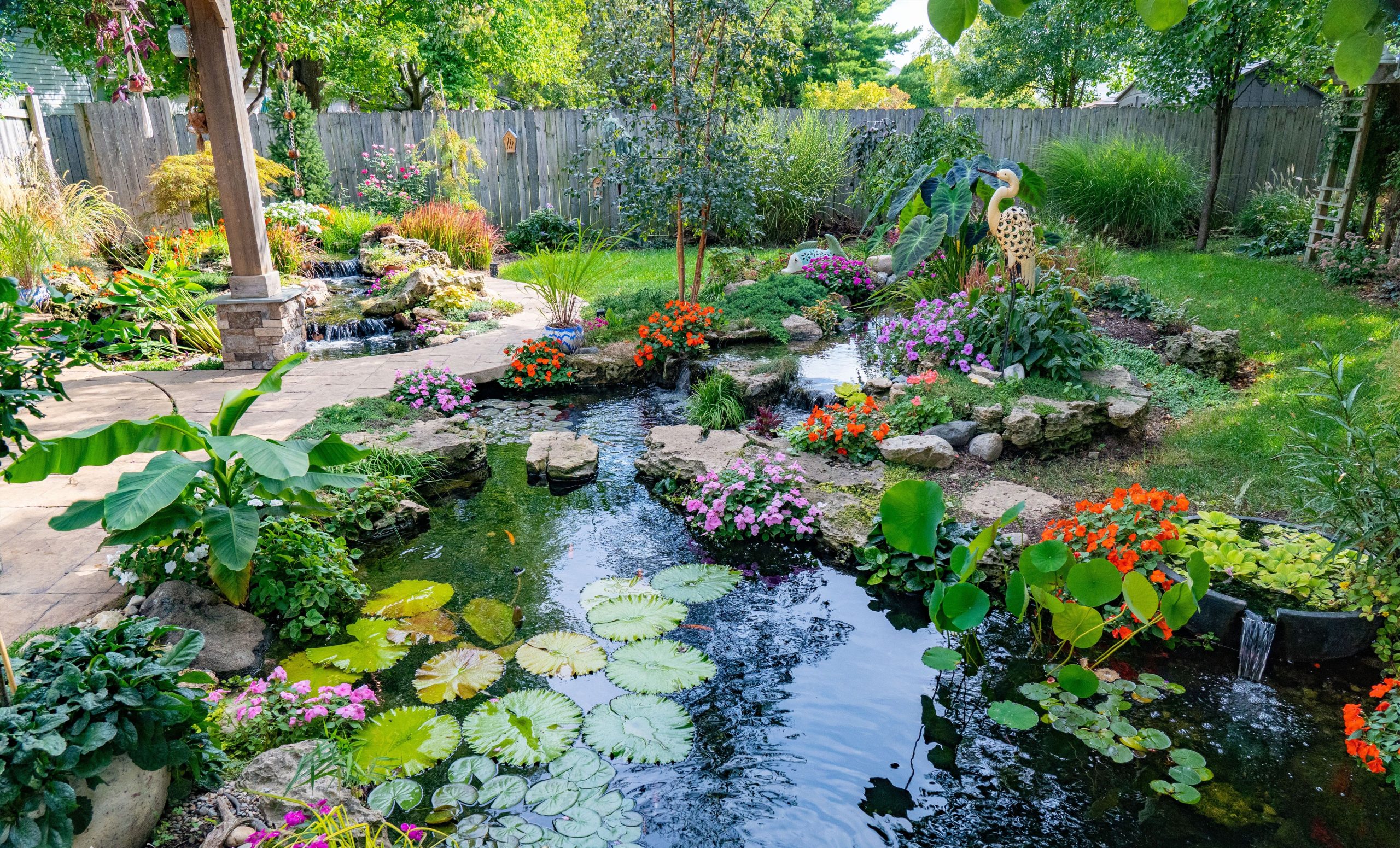 naturally clear pond water
