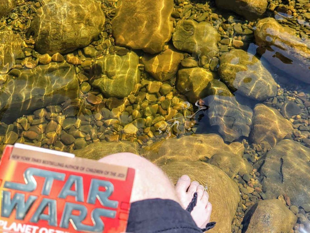book and snacks with feet in water feature with fish