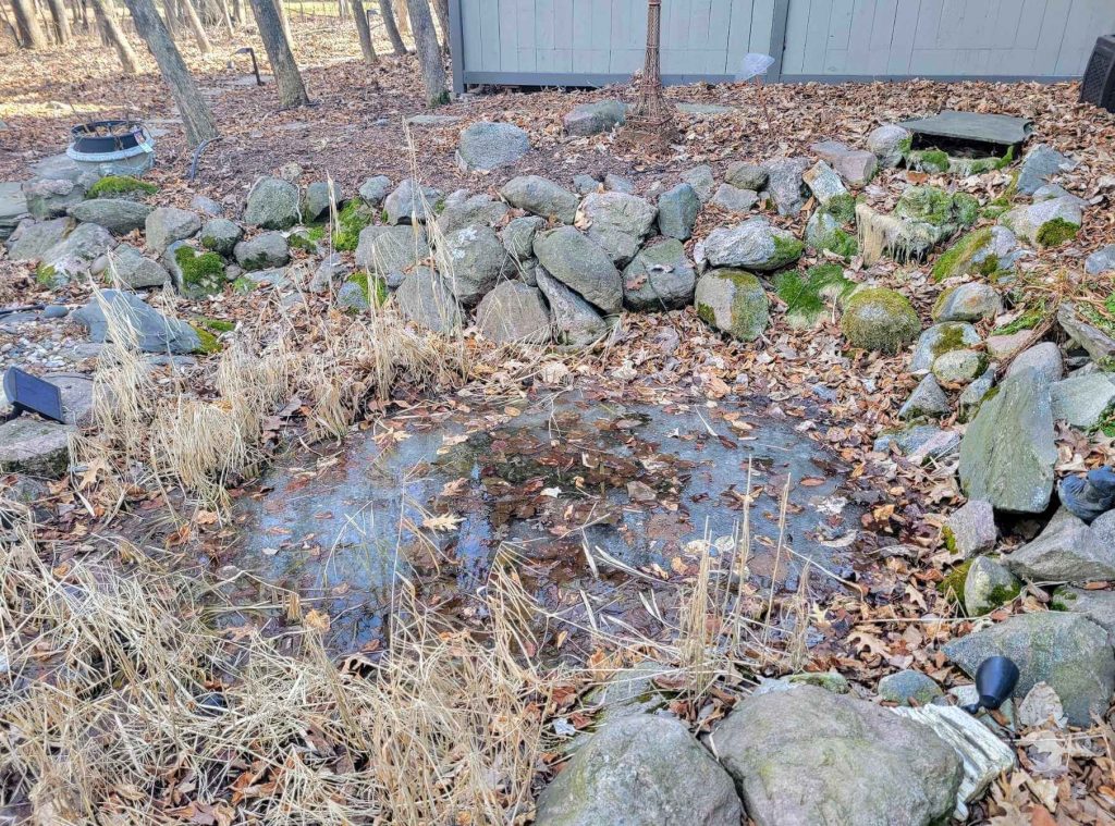 damaged pond covered in ice after harsh Minnesota winter