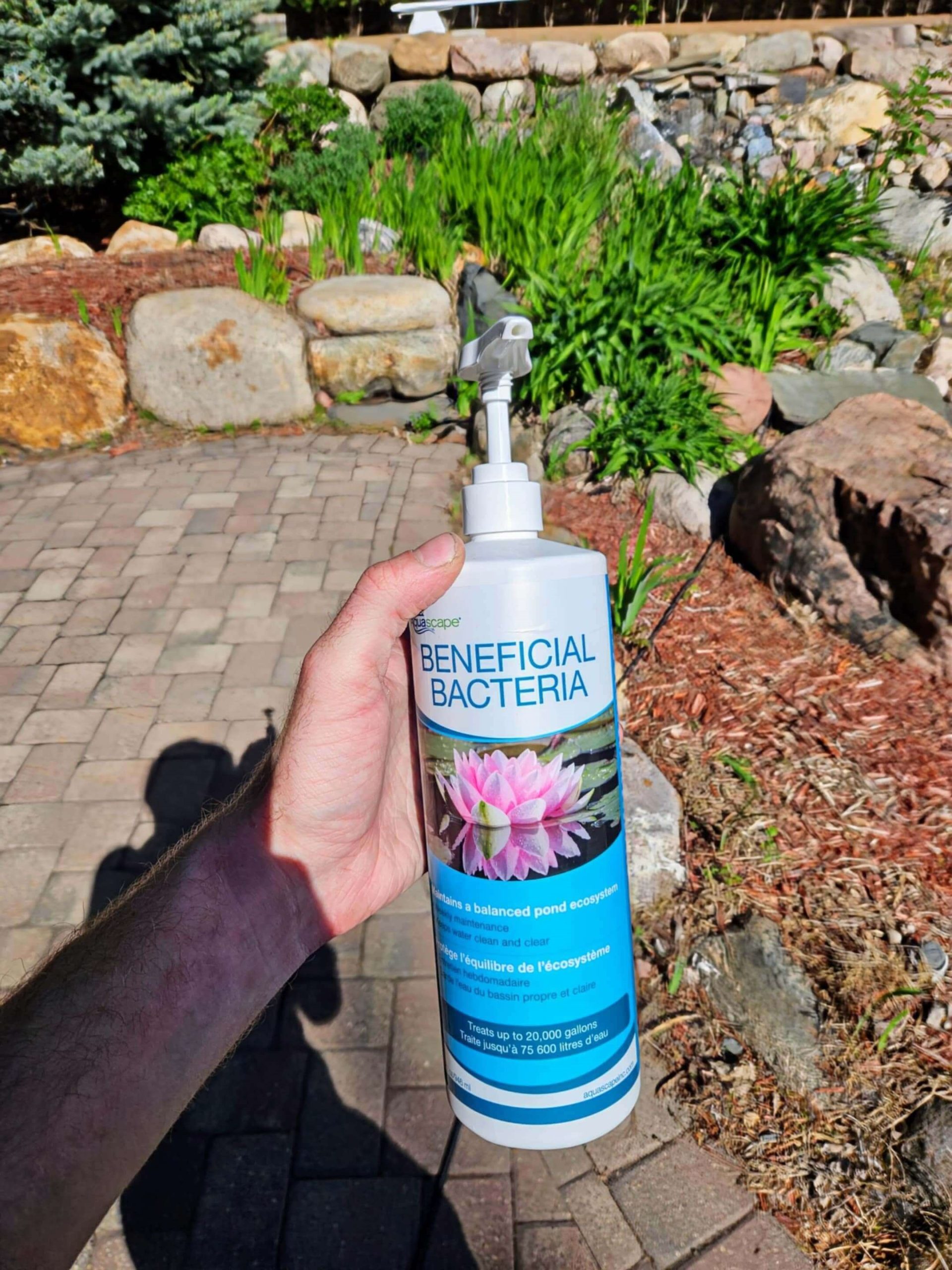 beneficial bacteria treatments from Aquascape