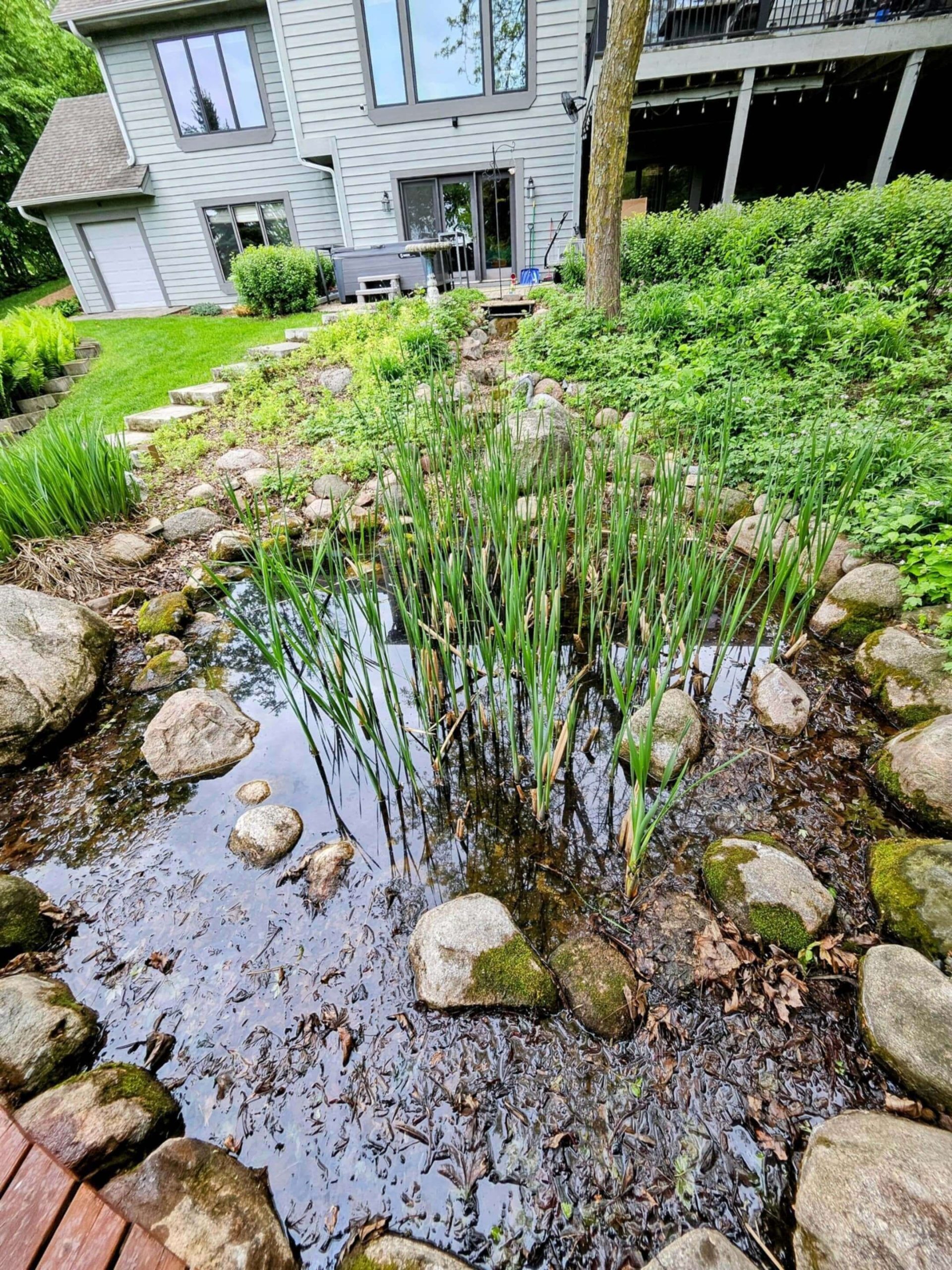 cattail and invasive pond plant root removal