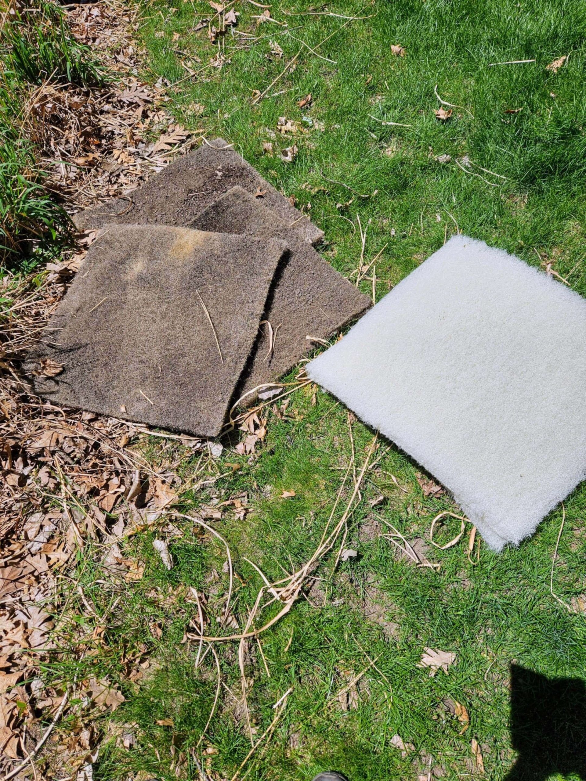 koi pond water filters for better water clarity
