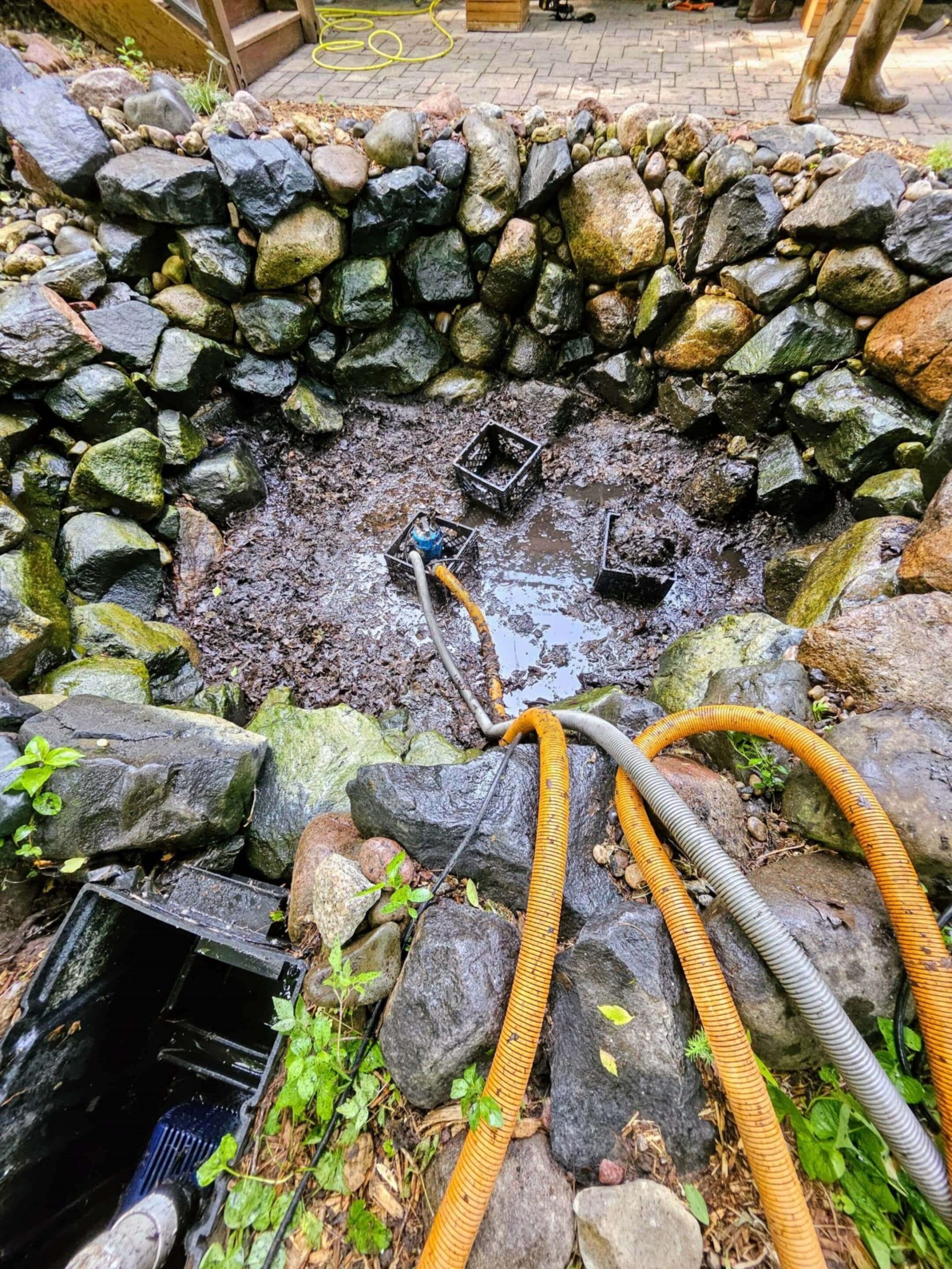 pond muck cleaning and removing leaves