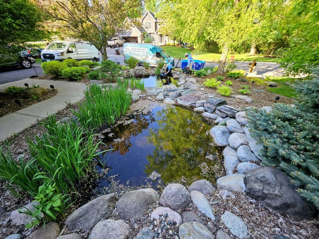superior ponds professional pond cleaning team