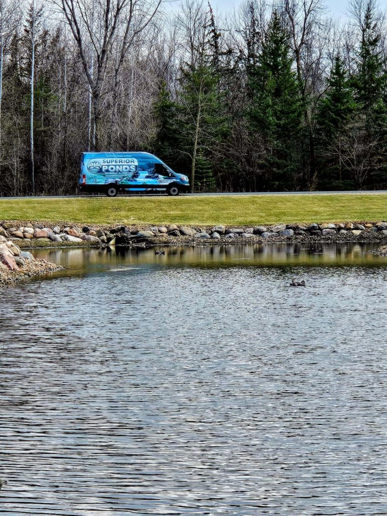 local professional water maintenance and care