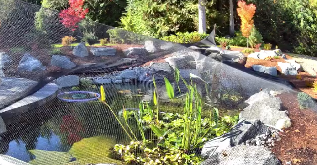 fall netting in minnesota