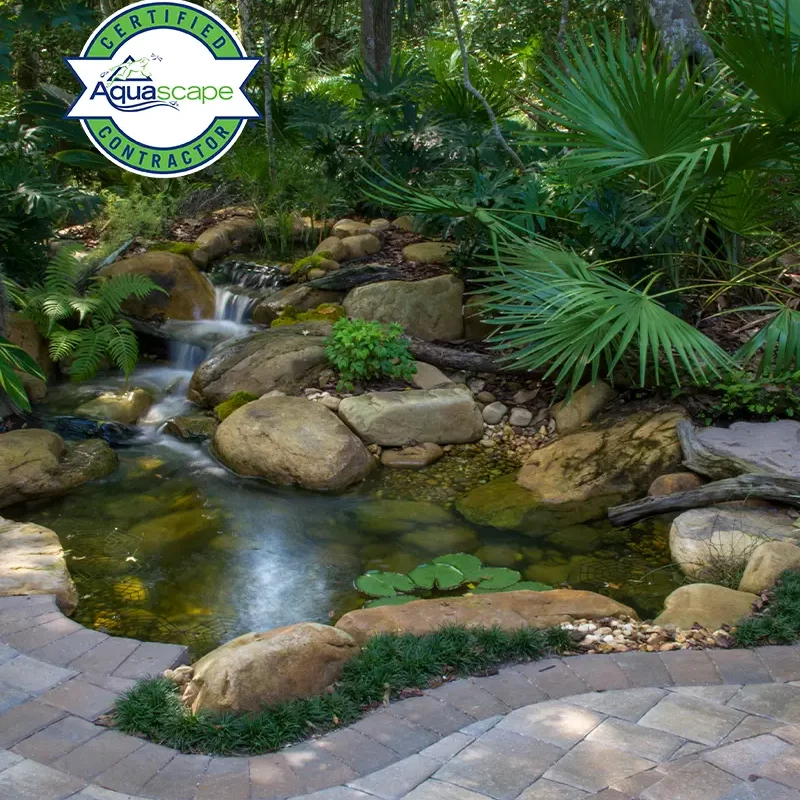 aquascape-certified-benefit