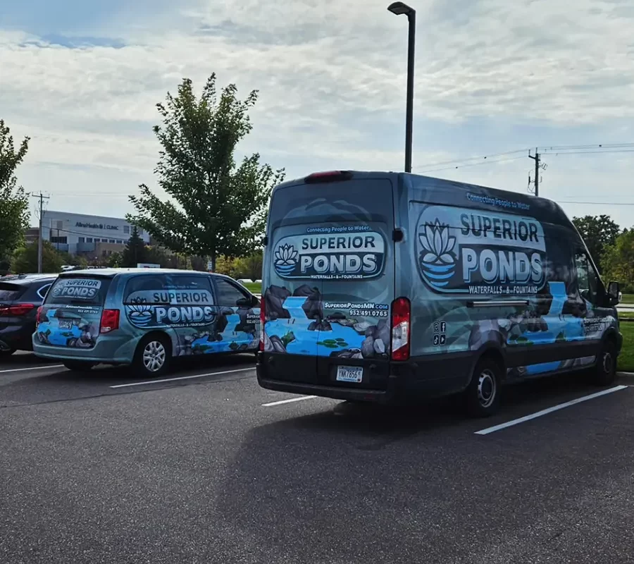 cetification-benefit