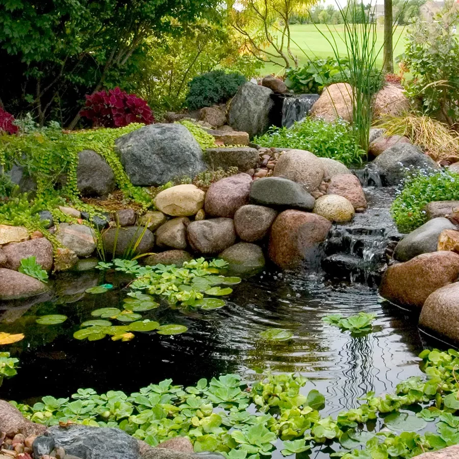 Garden pond with a small waterfall, rock border, and lily pads, creating a natural outdoor water feature