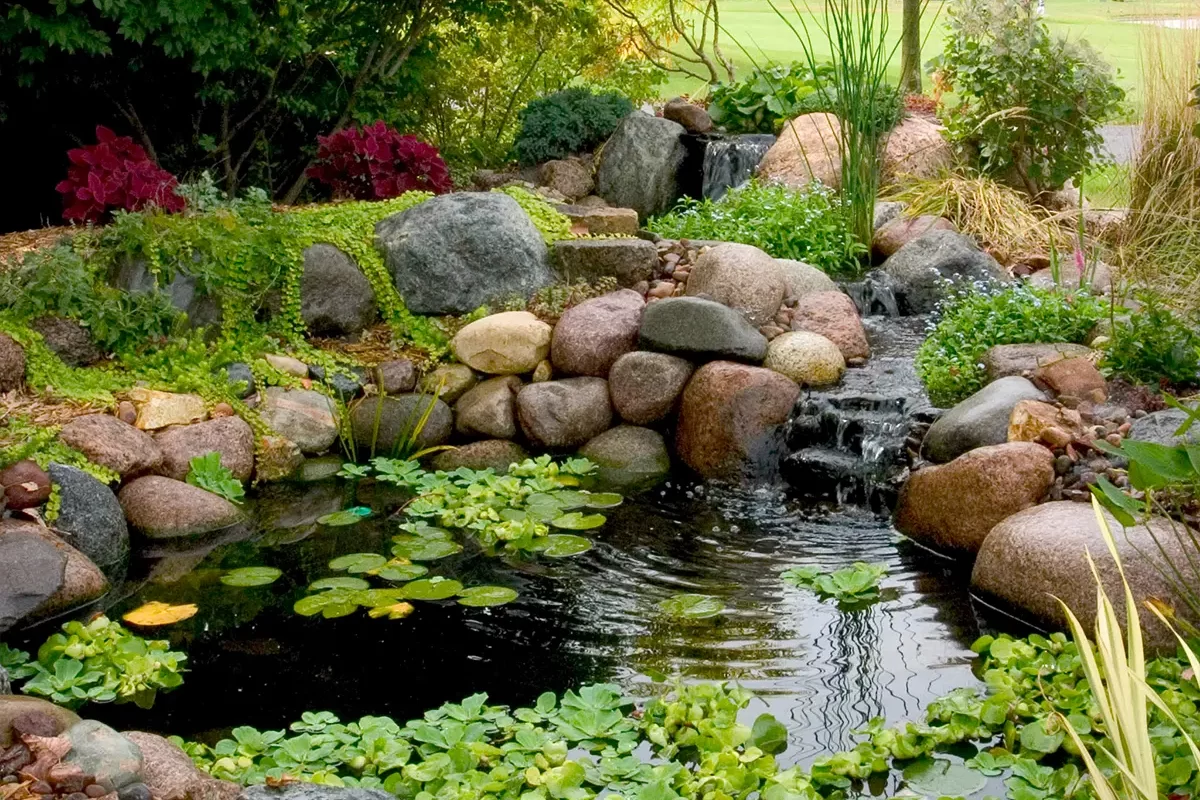 Garden pond with a small waterfall, rock border, and lily pads, creating a natural outdoor water feature